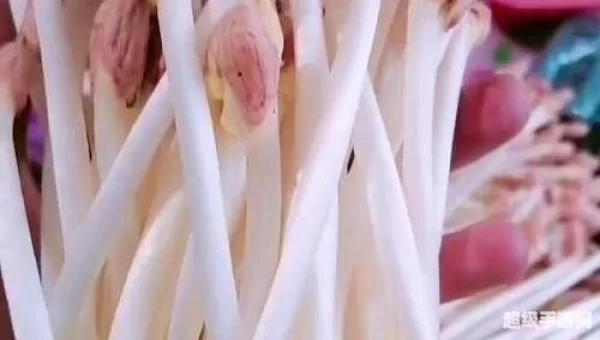 抖音宝芽全部资料