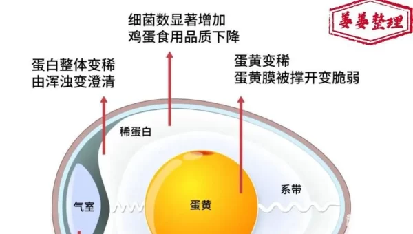 鸡蛋最好不要和哪种食物一起存放