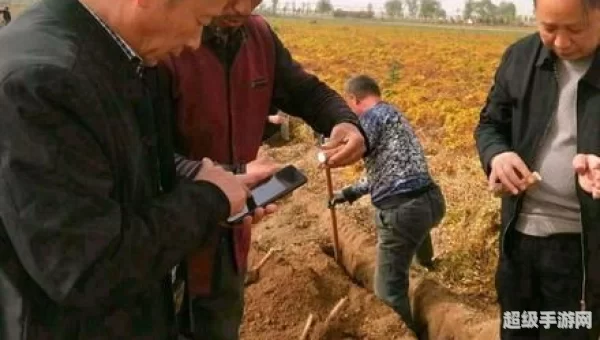 种植山药可以连作吗