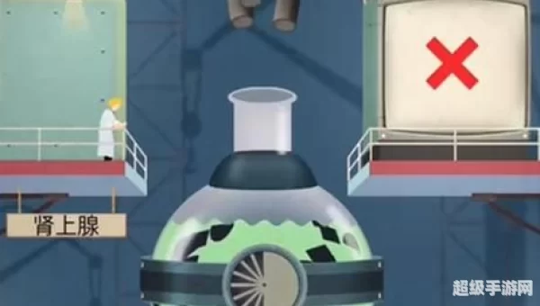 人体造血工厂