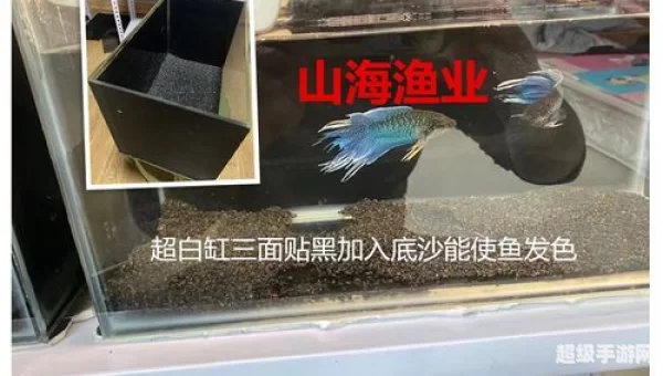 冰风暴