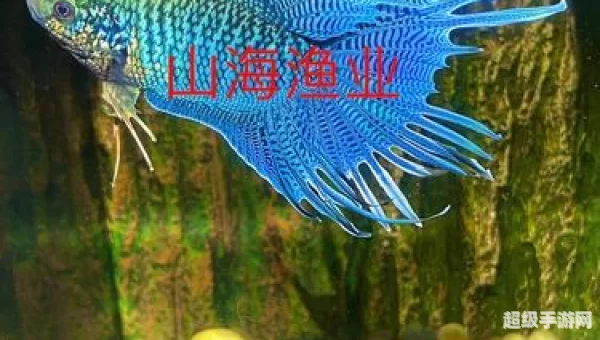 冰风暴