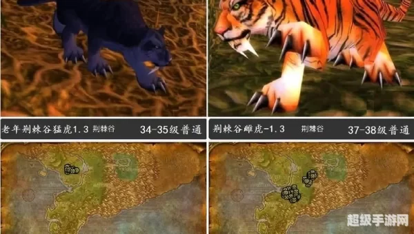 魔兽猎人宝宝