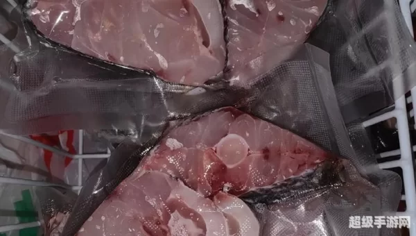 钓鱼烹饪